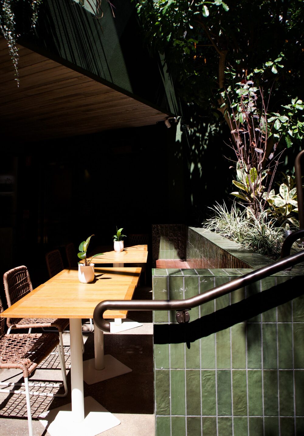 FEATURE TILES: La Riviera Botanical Green
