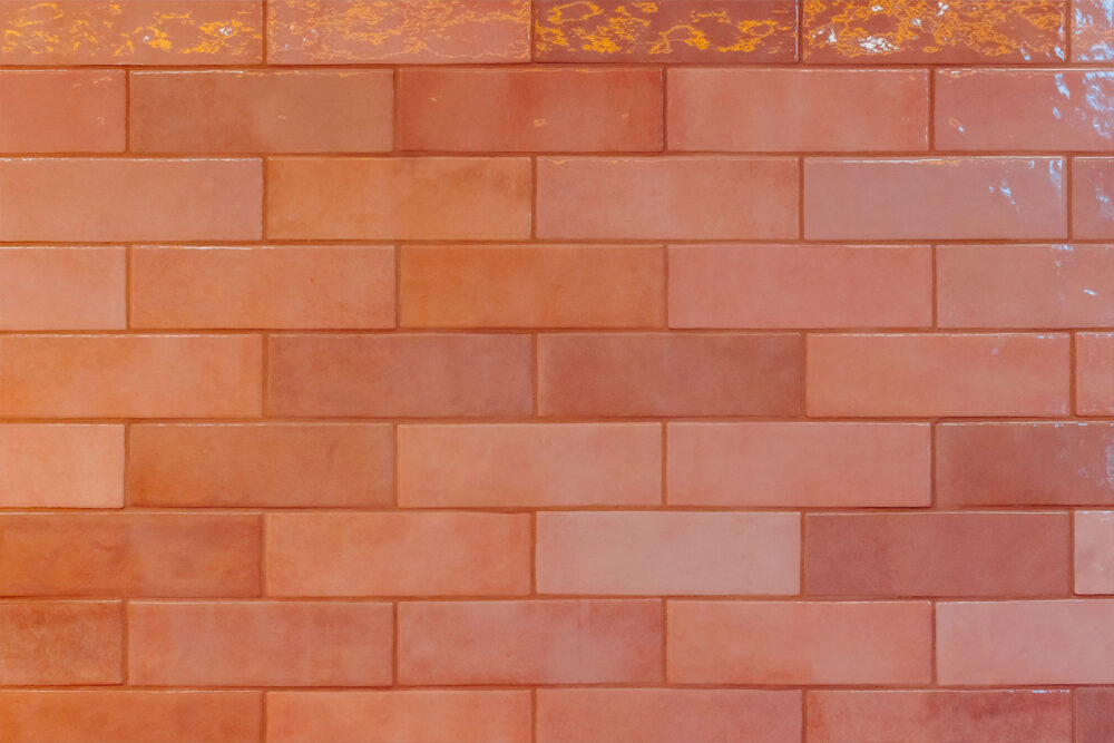 FEATURE WALL TILES: Artisan Rose Mallow