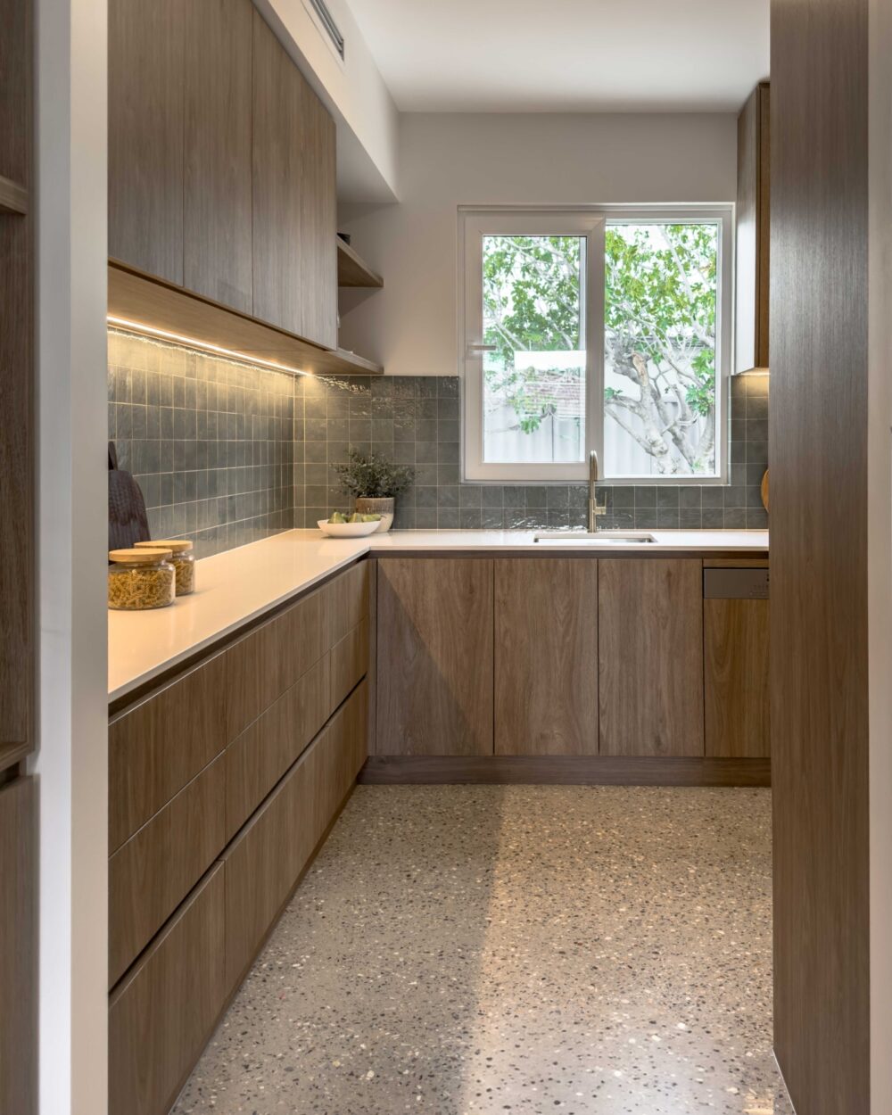 Pix. Aloe Luc.