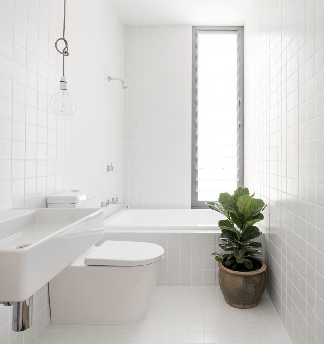 Nova Arq. White