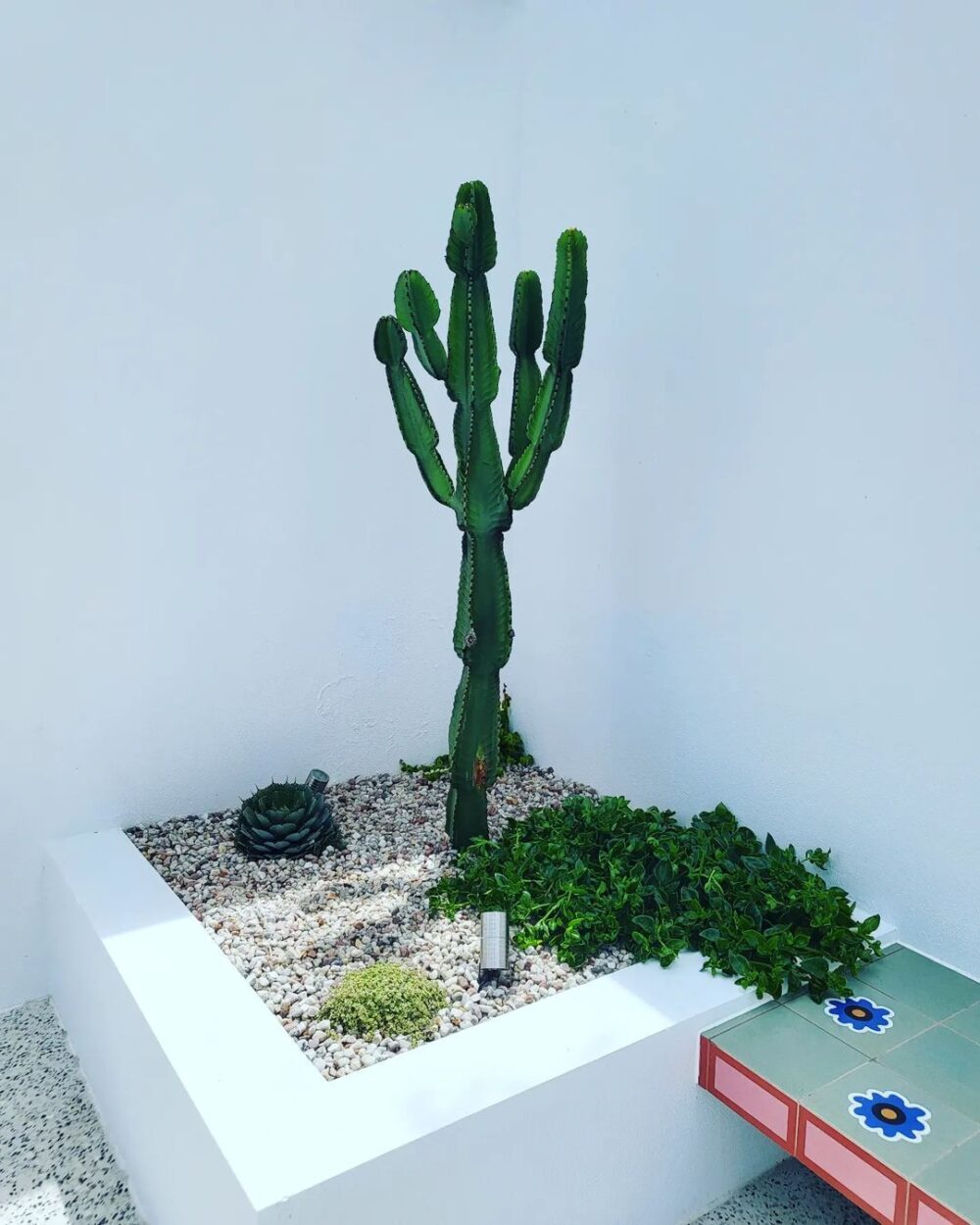 PHOTO CREDIT: Made Landscape Construction
BENCH TILES: Mattonelle Margherita Flower Green, Mattonelle Margherita Marghe Green